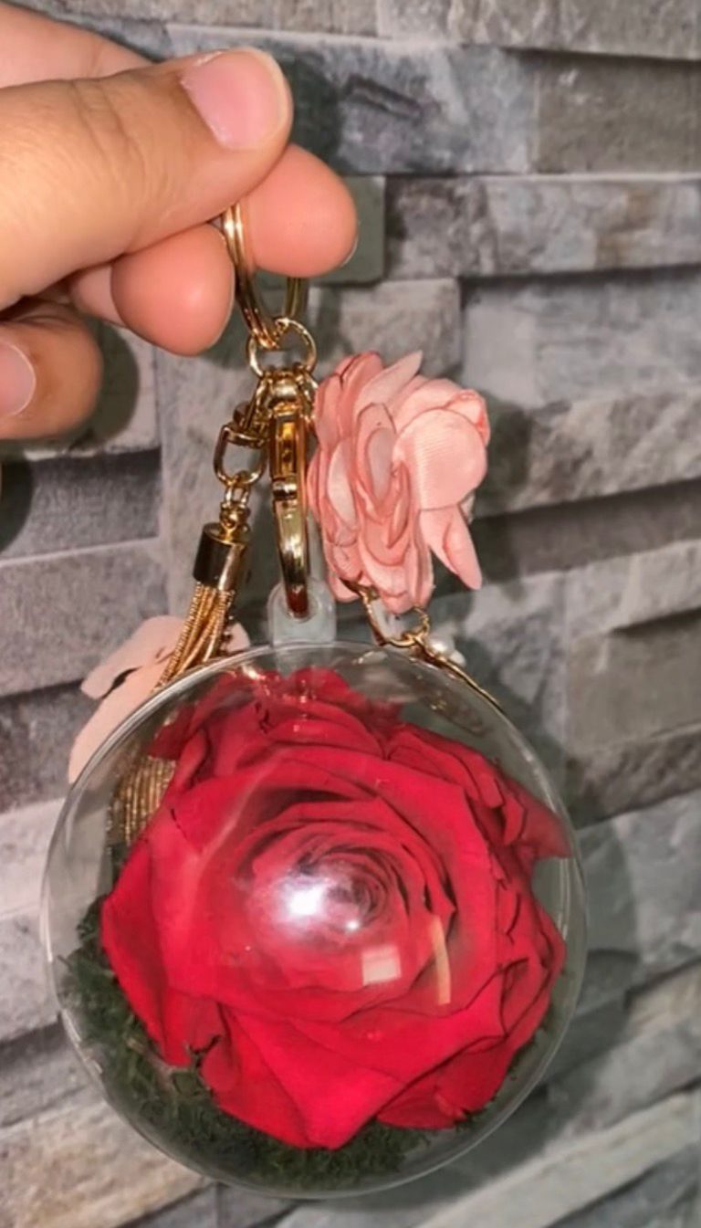 WhatsApp Image 2025-12-05 at 21.49.34_3c586a81